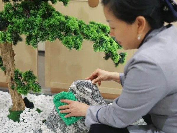 中山季节虫害防治指南：清洁保洁注意事项